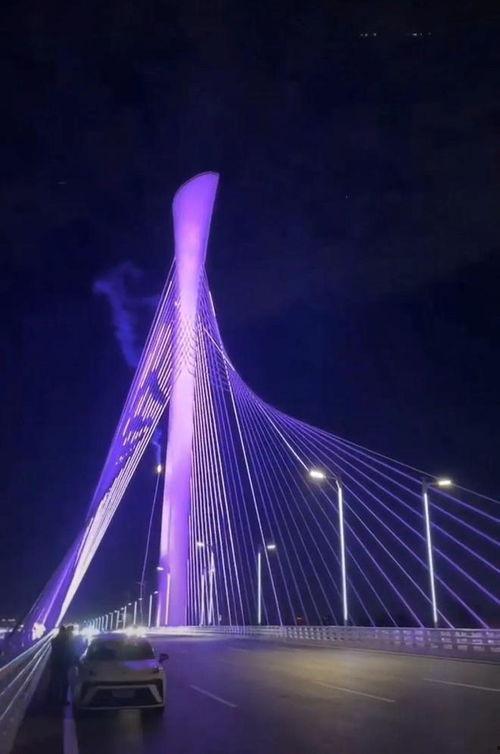 石家庄大桥爆料视频最新,揭秘工程进展与争议焦点  第1张